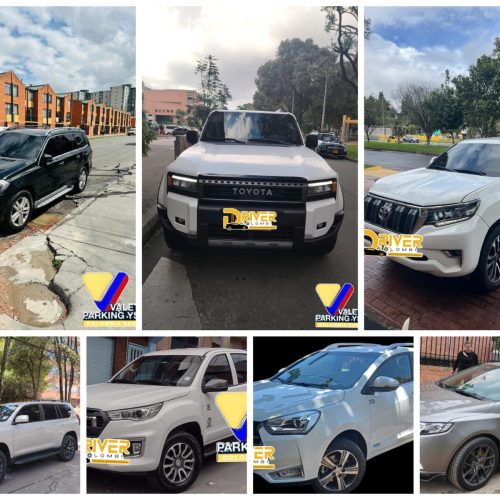 Servicio de Automóvil